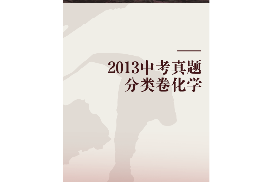 2013中考真題分類卷化學