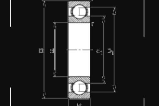 FAG N1930-K-M1-SP軸承