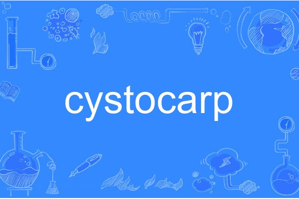 cystocarp