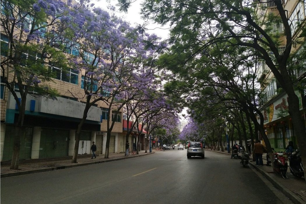 泰興路(廣州市增城區道路)