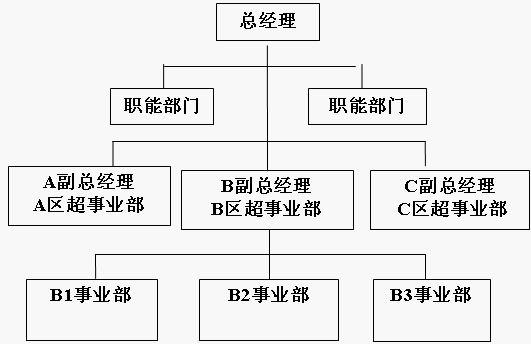 超事業部制組織結構(超事業部制)