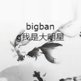 bigbang我是大明星