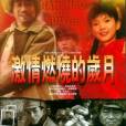 激情燃燒的歲月(2001年孫海英、呂麗萍主演的電視劇)