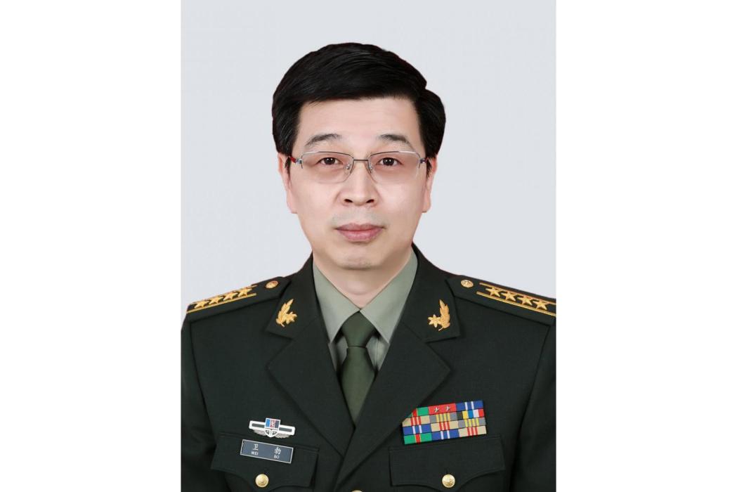 衛勃(中國人民解放軍總醫院胃外科主任醫師)