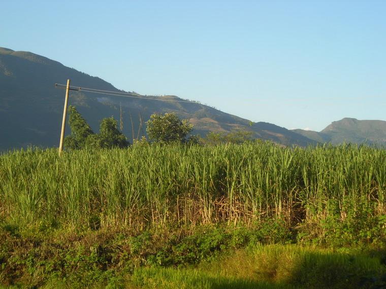 郭富田自然村