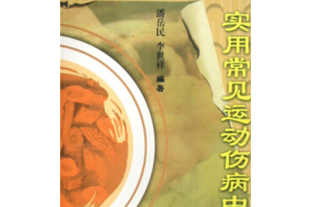 實用常見運動傷病中醫療法(2008年人民體育出版社出版的圖書)