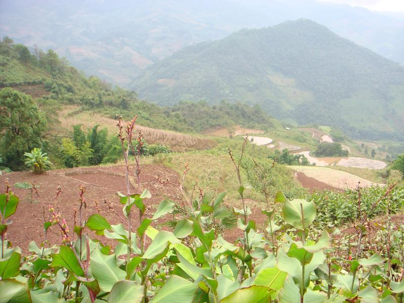 小格媽村