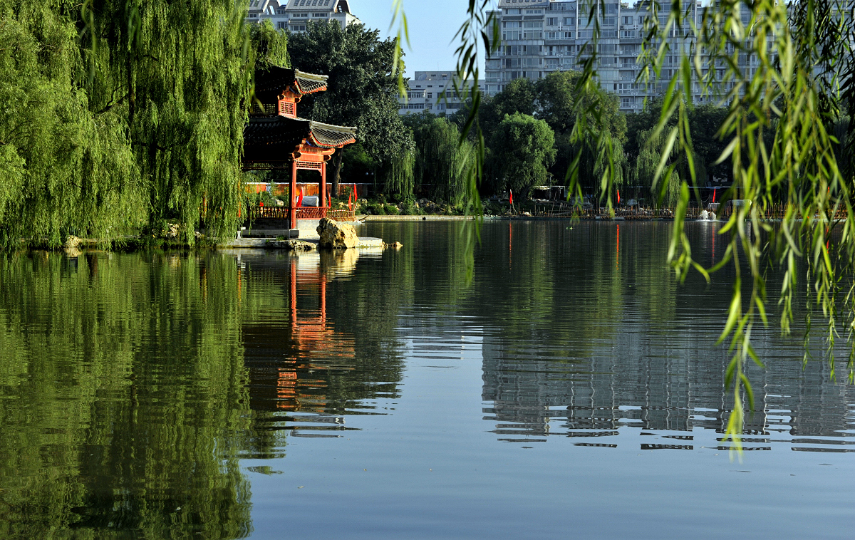 海淀區(北京市海淀區)