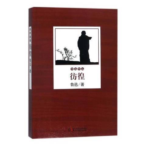 彷徨(2018年民主與建設出版社出版的圖書)