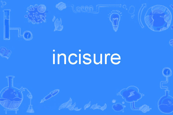 incisure