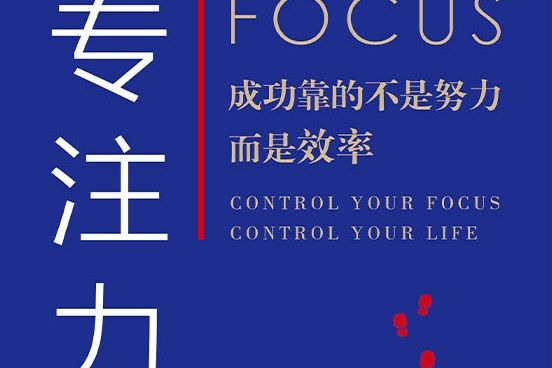 專注力(2021年江蘇鳳凰文藝出版社出版的圖書)