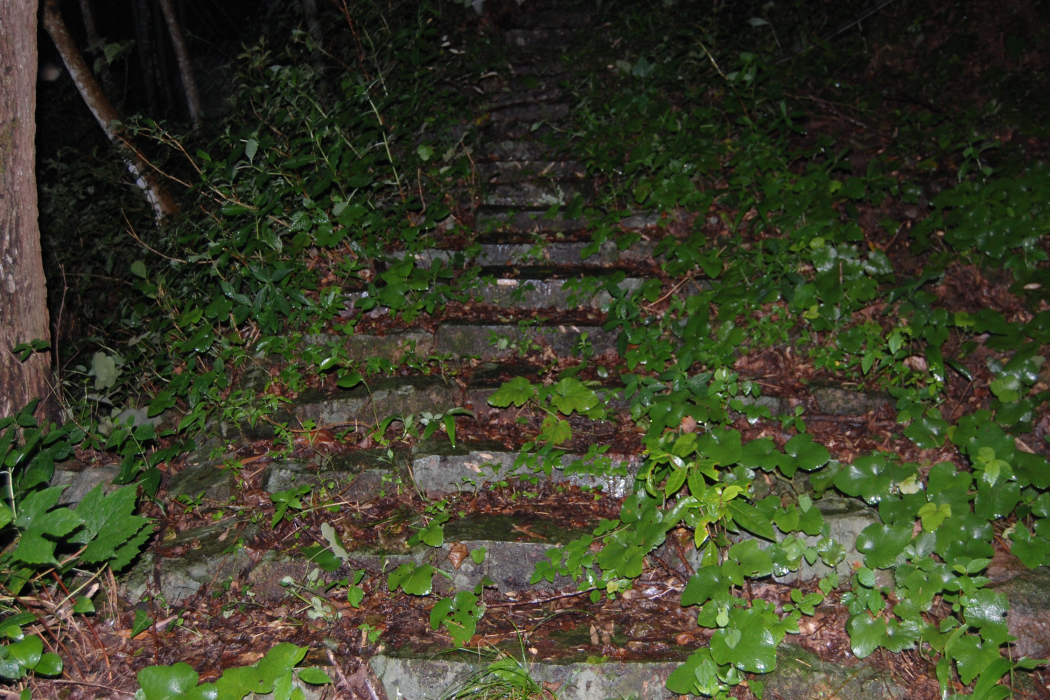 餘姚嶺古道