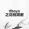 tfboys之花枝凋謝