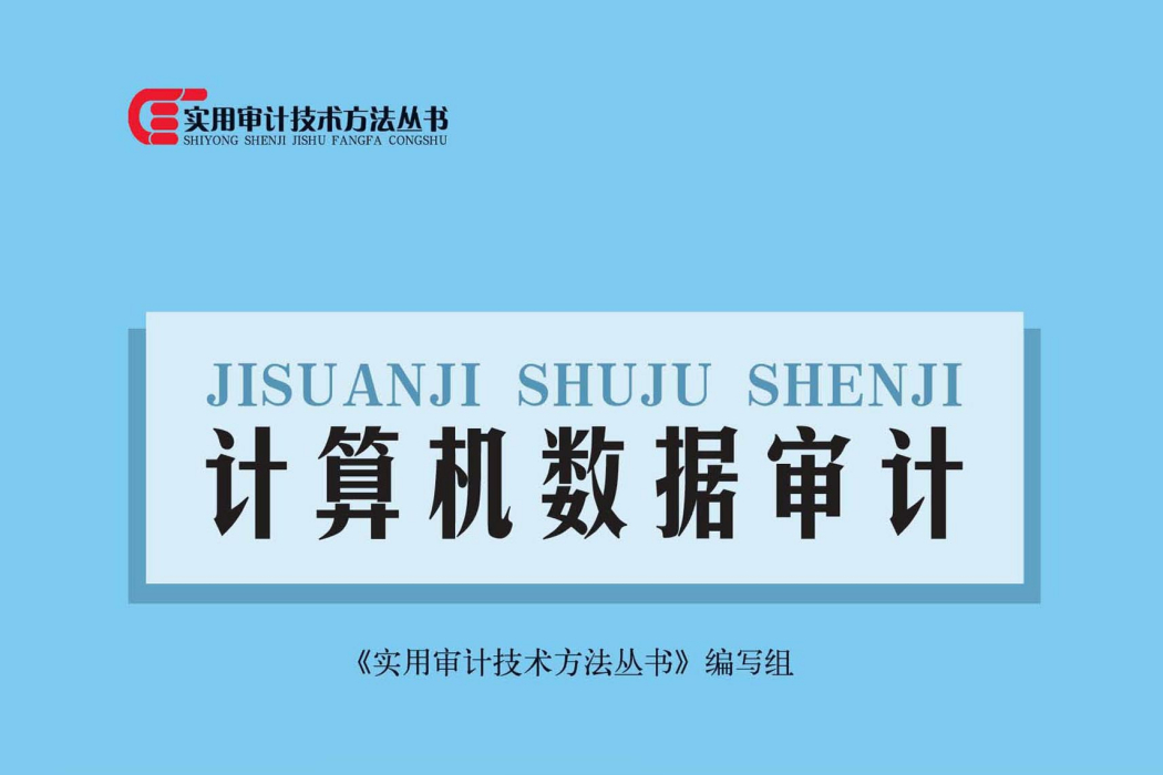 計算機數據審計(2019年中國時代經濟出版社有限公司出版的圖書)