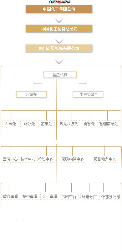 四川藍星機械有限公司