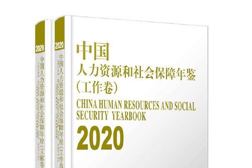中國人力資源和社會保障年鑑-2020-工作卷