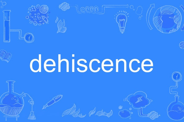 dehiscence