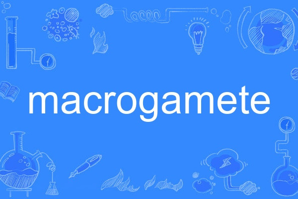 macrogamete