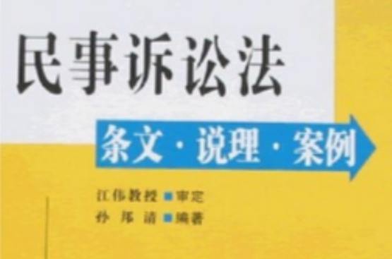 民事訴訟法：條文·說理·案例