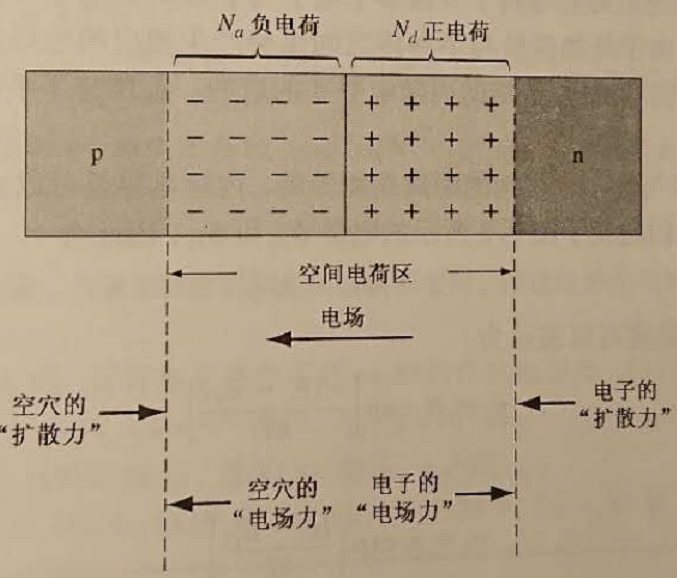 長二極體