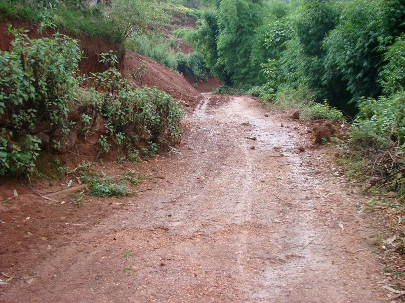 居梨林自然村通村道路