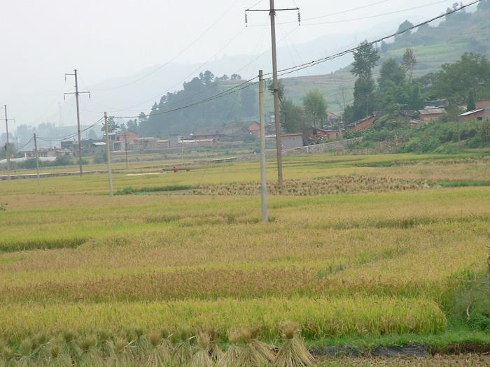 木處格村