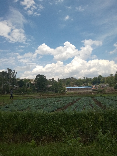 小足錄村