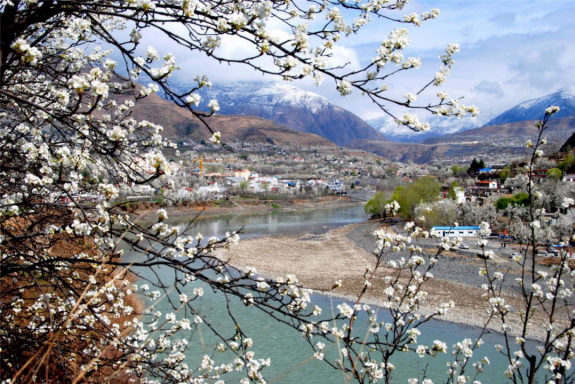 金川世外梨園景區