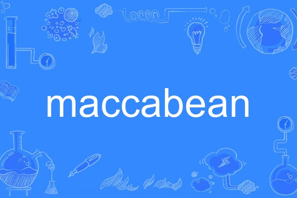 maccabean