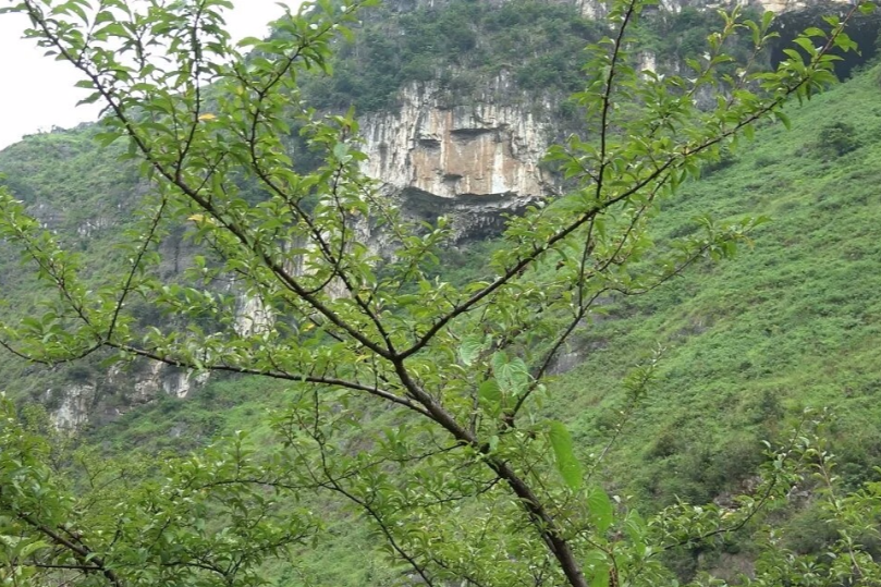 龍洞女神山