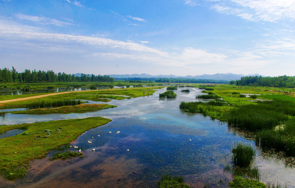 王寶河