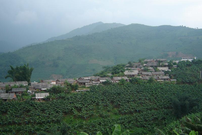 甲沖村(雲南紅河州河口縣蓮花灘鄉乾龍井村委會轄村)