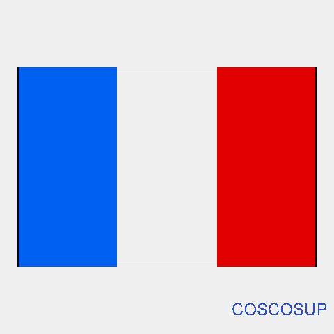法國(法蘭西第五共和國)