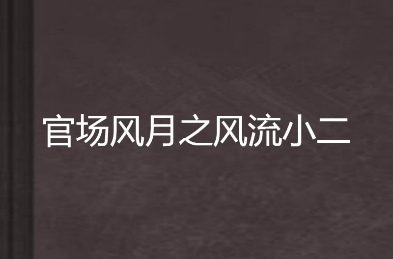 官場風月之風流小二