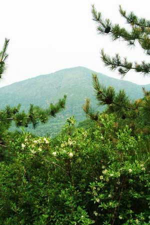 悟雲山