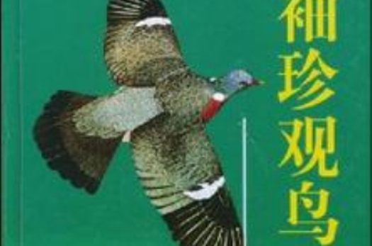 袖珍觀鳥指南