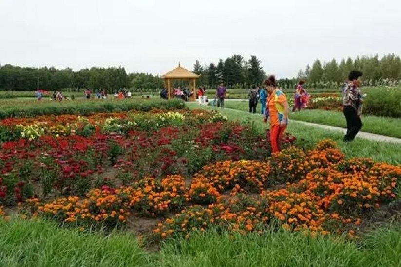 海倫市森林花海觀光園