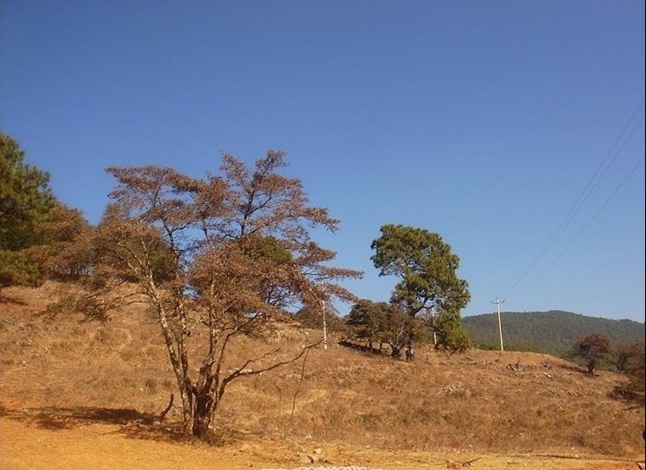 大黑山旅遊景區