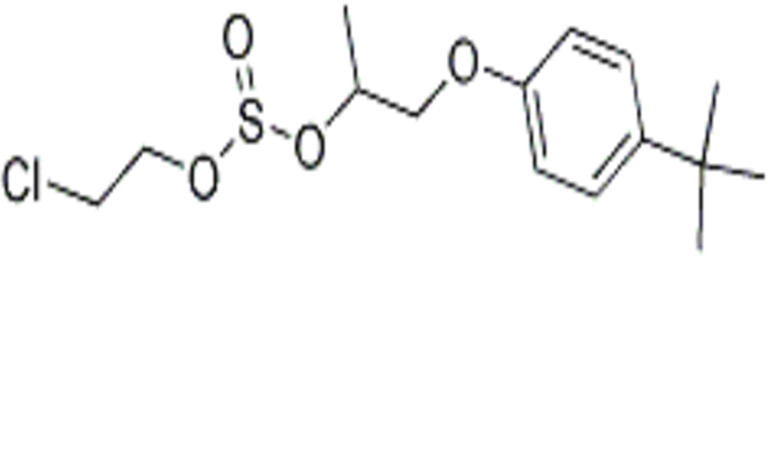 阿蟎特