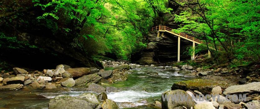 陝西黎坪國家森林公園