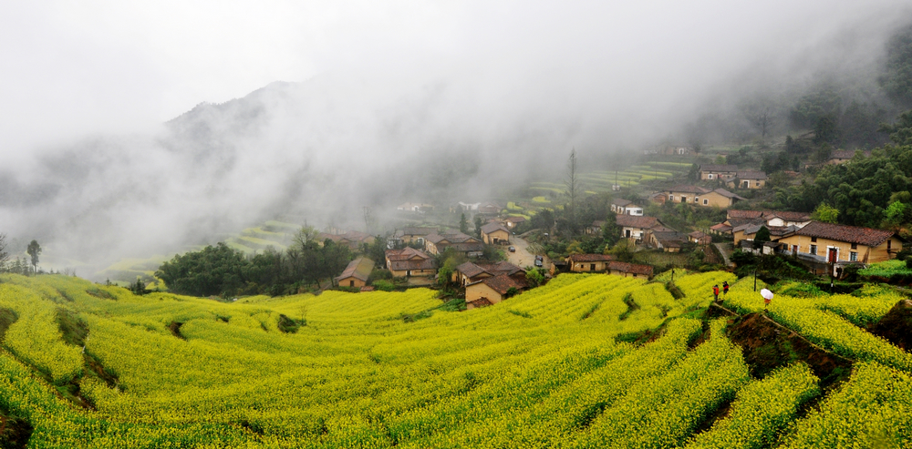 箬山梯田