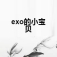 exo的小寶貝