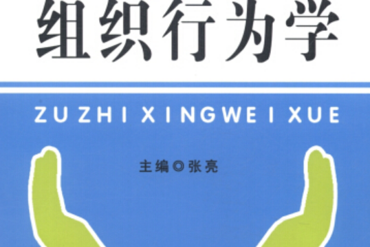 組織行為學(2013年中國工商出版社出版的圖書)