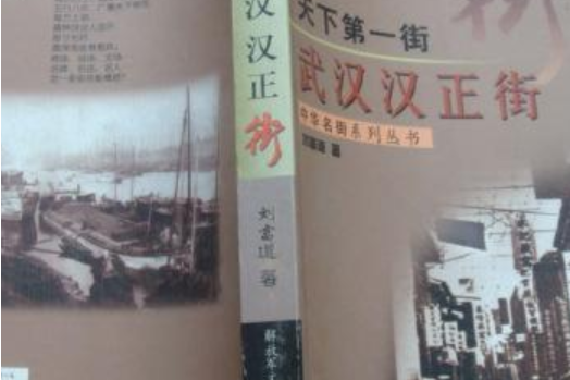 天下第一街(2007年崇文書局出版的圖書)