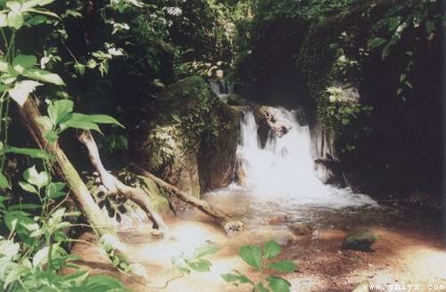 菜陽河國家森林公園