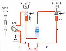 血液灌流原理圖