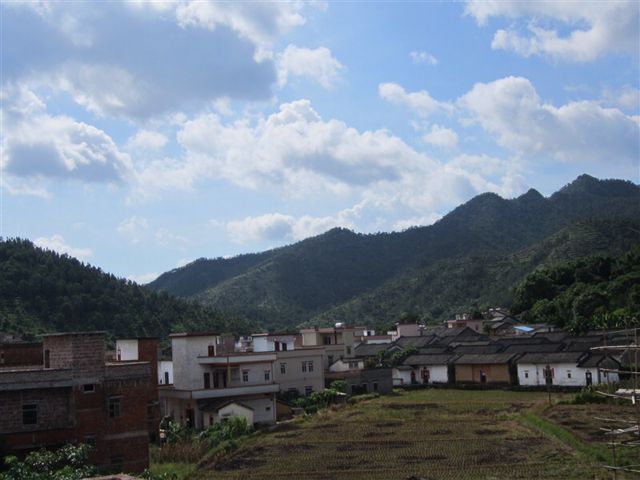 東震八樓村