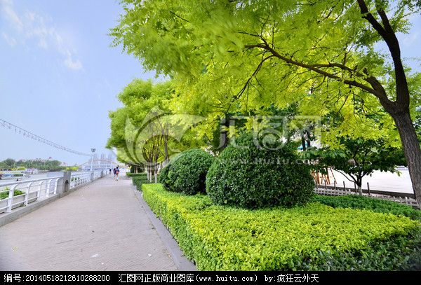 城市植被