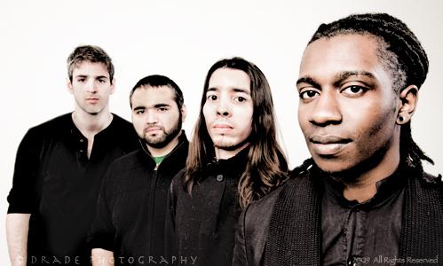 Animals as leaders