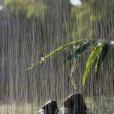 致一場年少的雨